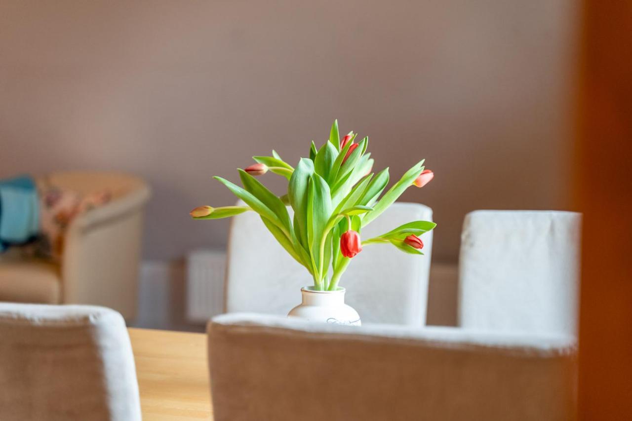 Ferienwohnung 1 Im Landhaus Am Wildpark Boek Kültér fotó